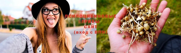 Альфа ПВП Бронницы