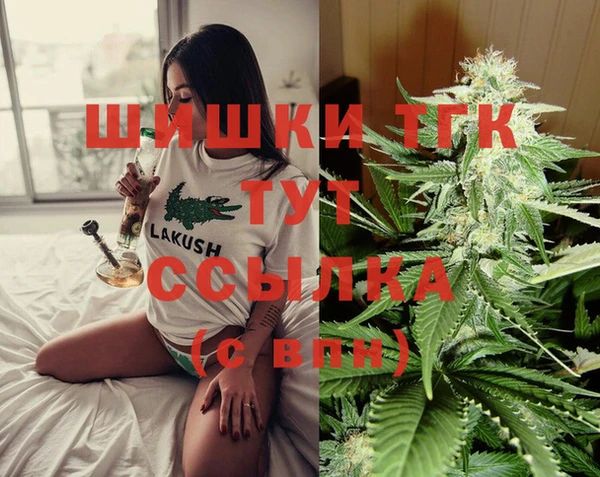 стафф Бородино