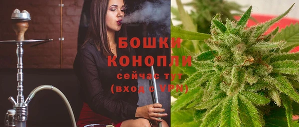 стафф Бородино