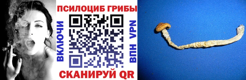 Псилоцибиновые грибы прущие грибы  мега сайт  Верхний Тагил  закладки 